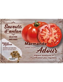 Tomate Marmande sélection Adour