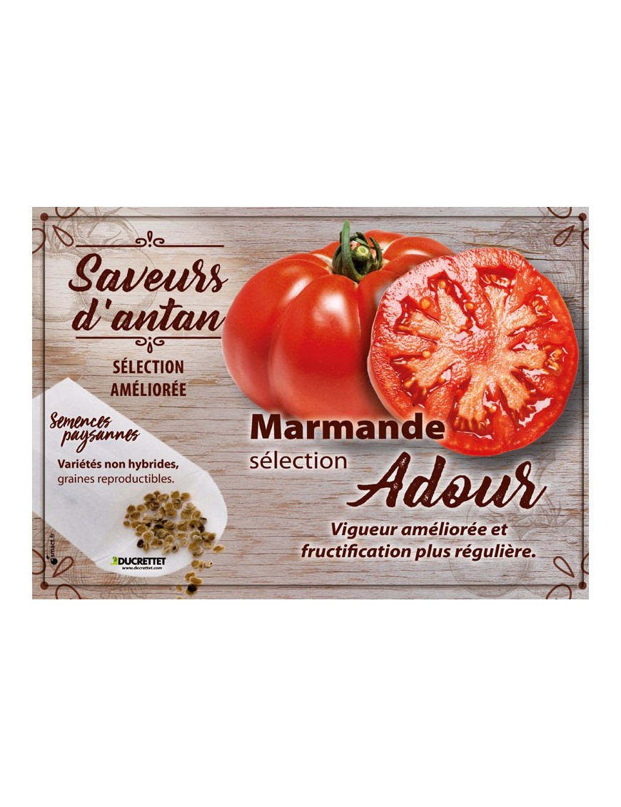 Tomate Marmande sélection Adour