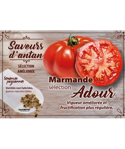 Tomate Marmande sélection Adour