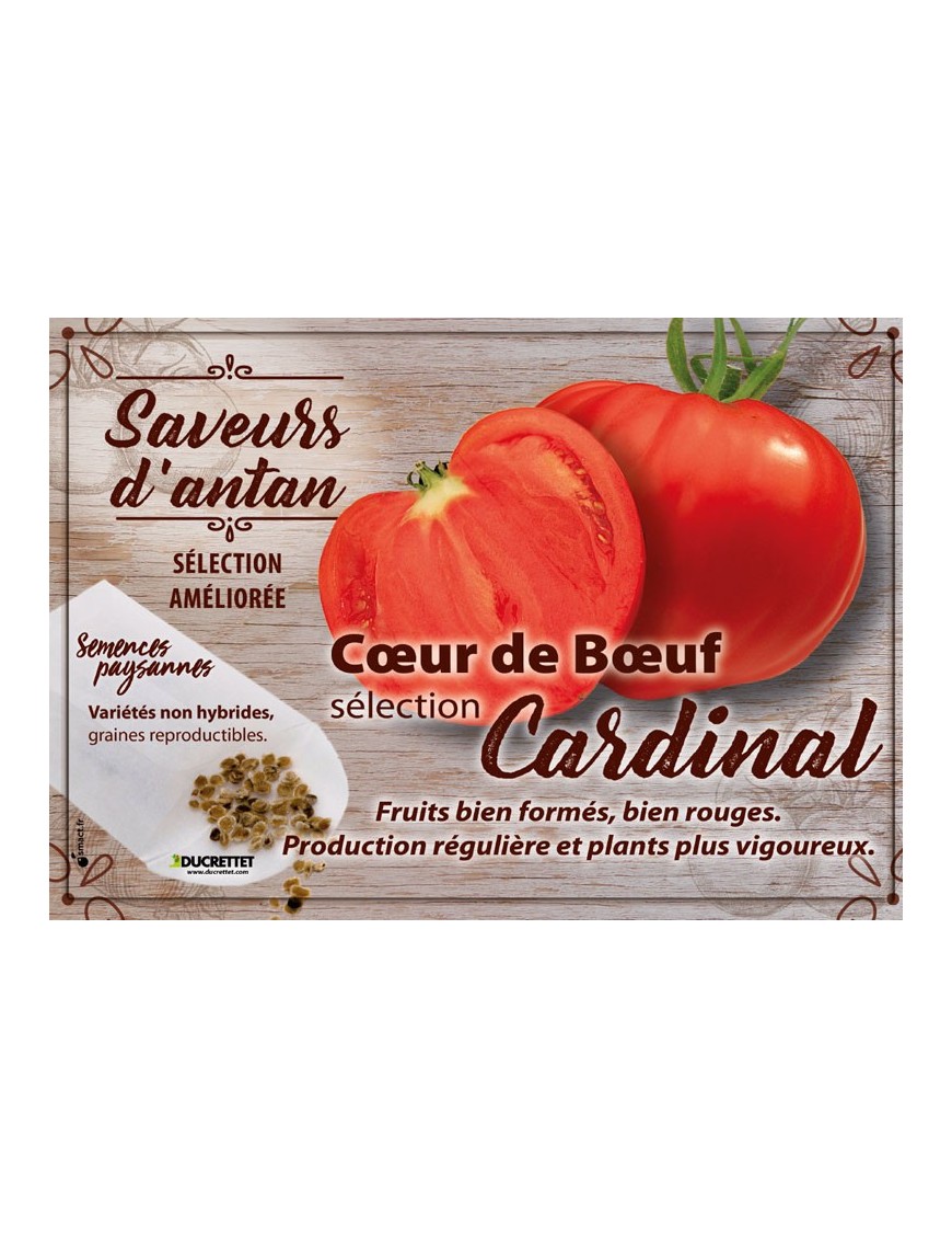 Tomate Cœur de Boeuf sélection Cardinal