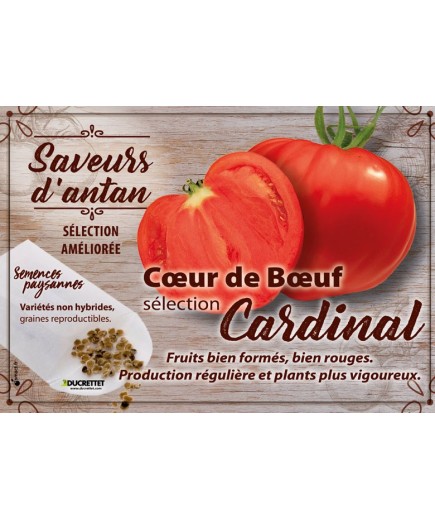 Tomate Cœur de Boeuf sélection Cardinal