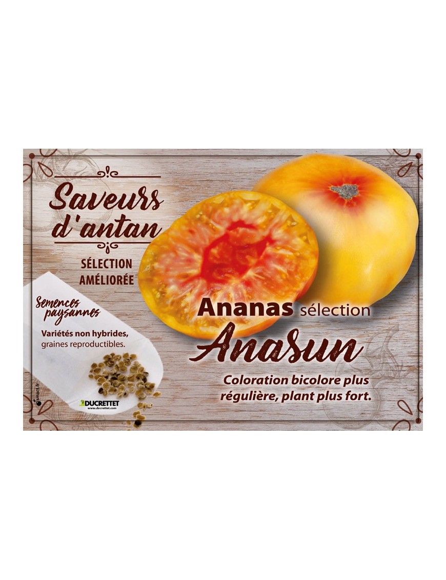 Tomate Ananas sélection Anasun