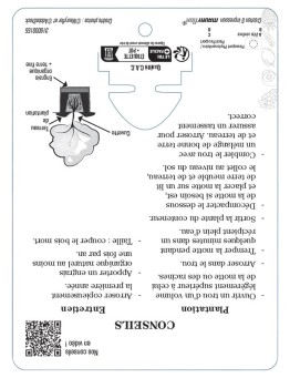 Vigne de table à raisins dorés