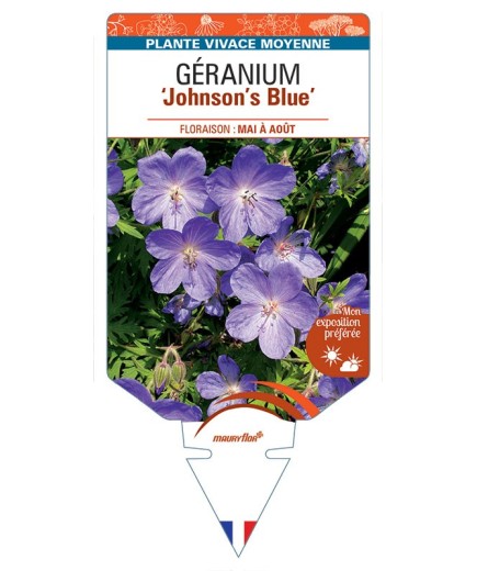 GERANIUM 'Johnson's Blue' *