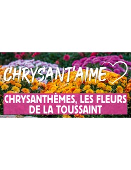 Banderole 008 - Chrysanthèmes