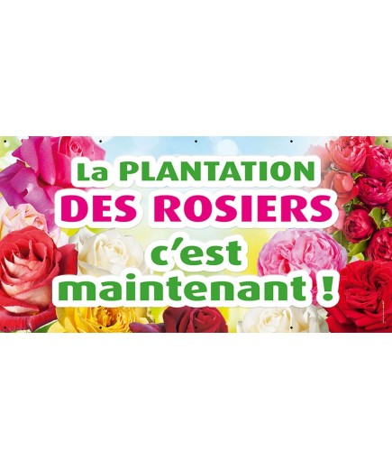 Banderole 012 - Rosiers