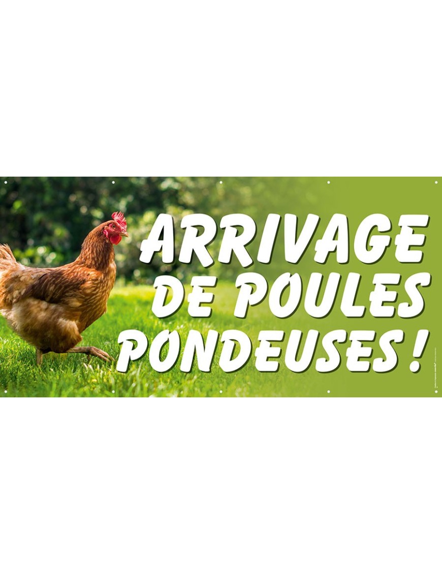 Banderole 046 - arrivage de poules pondeuses