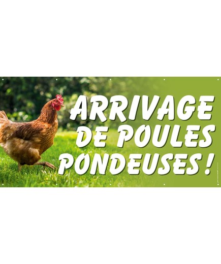 Banderole 046 - arrivage de poules pondeuses