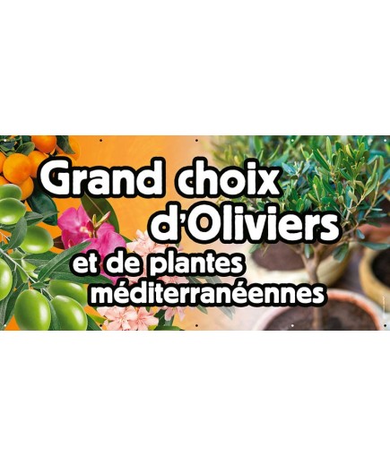 Banderole 072 - grand choix oliviers
