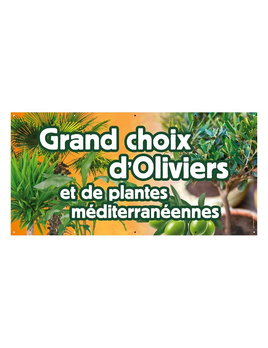 Banderole 073 - grand choix oliviers