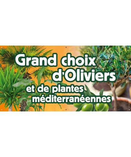 Banderole 073 - grand choix oliviers