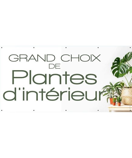 Banderole 075 - plantes intérieur