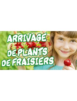 Banderole 078 - plants de fraisiers