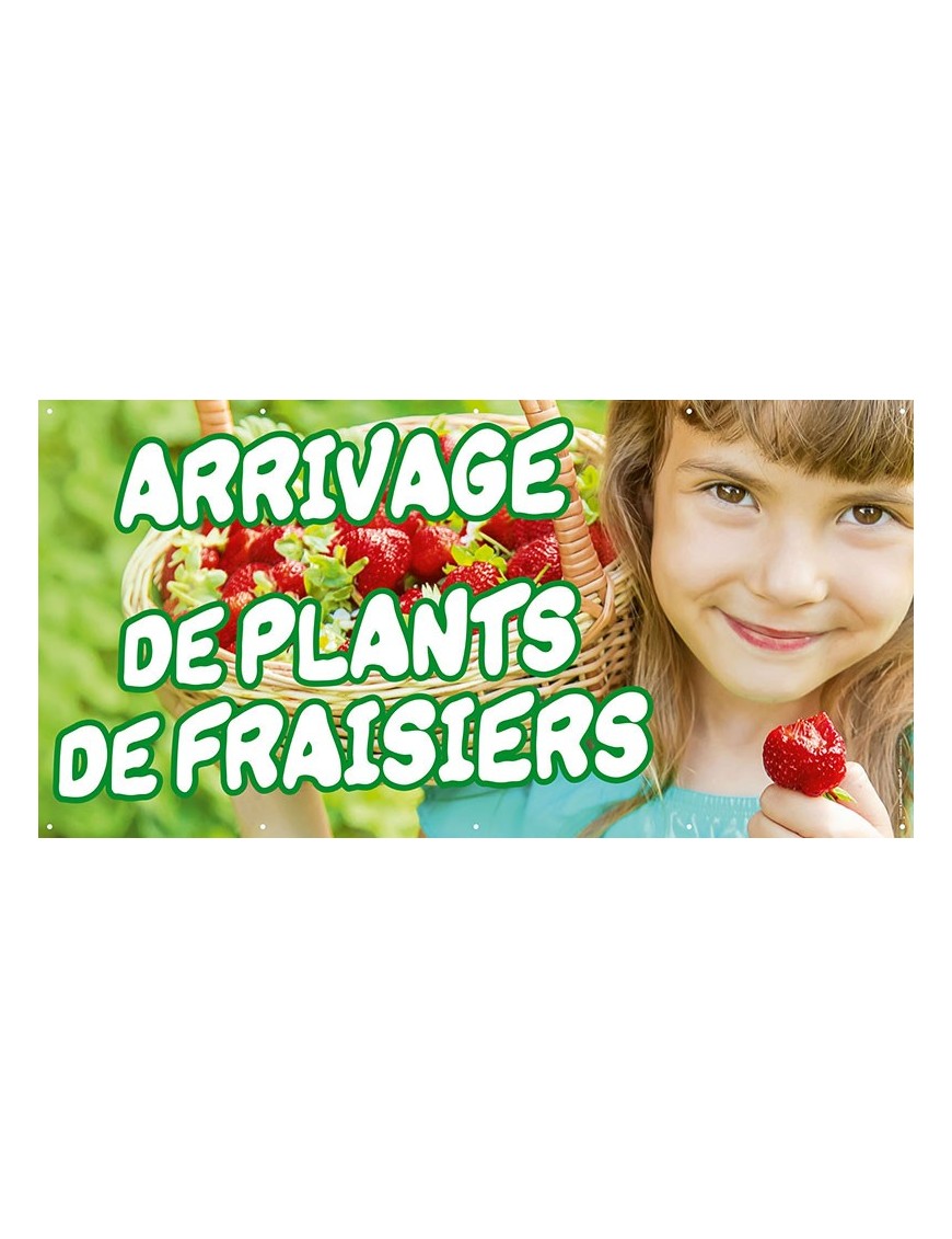Banderole 078 - plants de fraisiers
