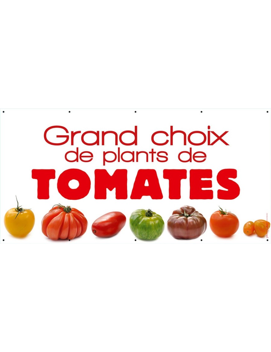 Banderole 081 - plants de tomates