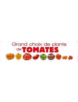 Banderole 081 - plants de tomates