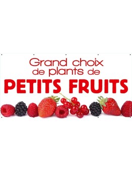 Banderole 083 - plants petits fruits