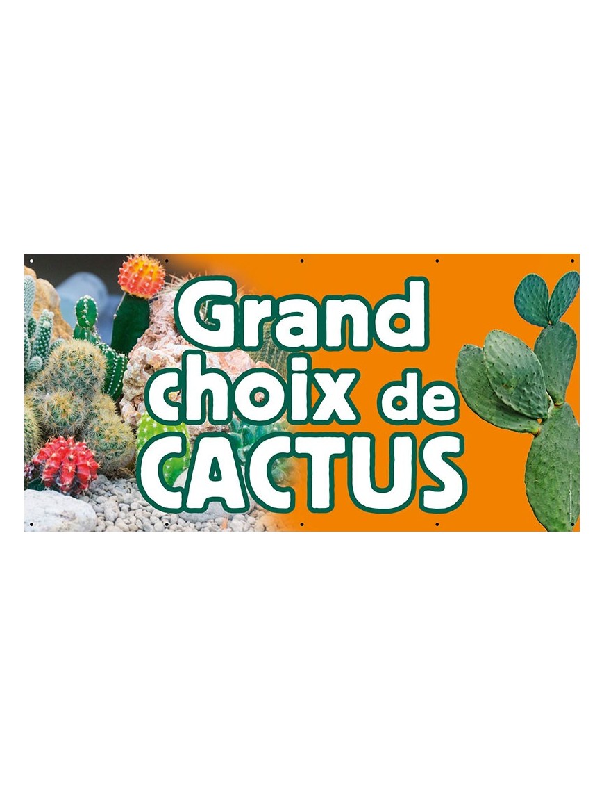 Banderole 099 - cactus