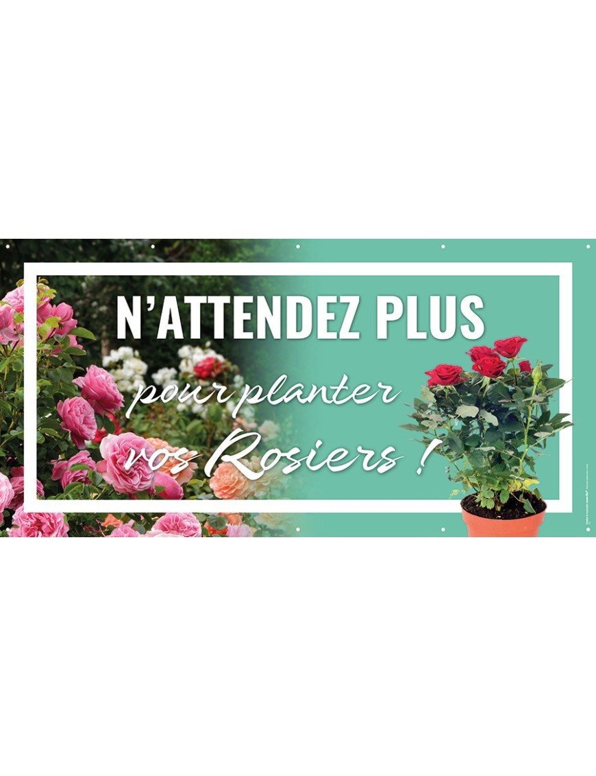 Banderole 116 - rosiers