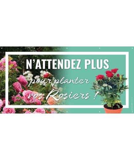 Banderole 116 - rosiers