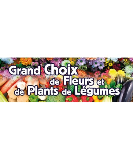 Banderole 122 - plants de légumes