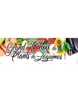Banderole 124 - plants de légumes