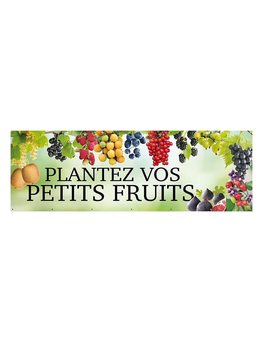 Banderole 142 - plantez petits fruits