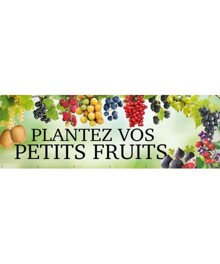 Banderole 142 - plantez petits fruits