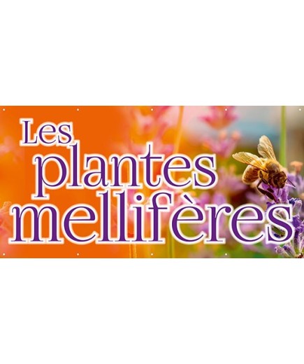 Banderole 165 - plantes mélifères