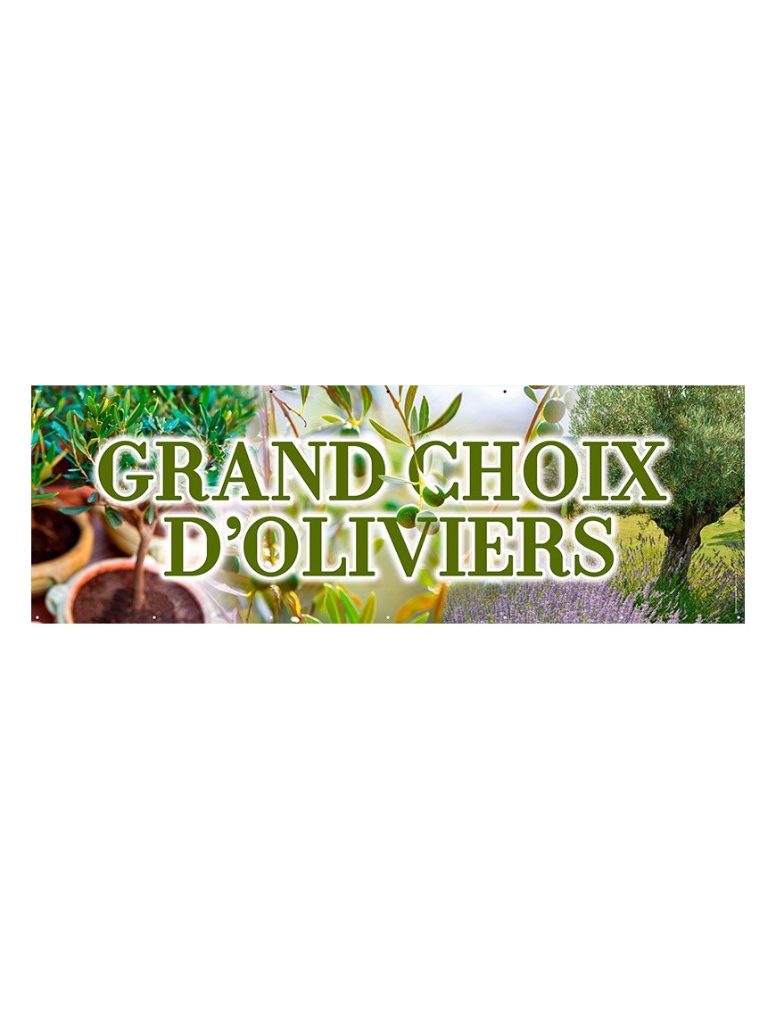 Banderole 167 - oliviers