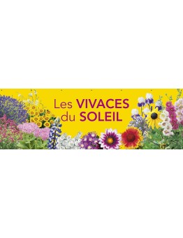 Banderole 169 - vivaces du soleil