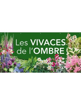 Banderole 171 - vivaces ombre