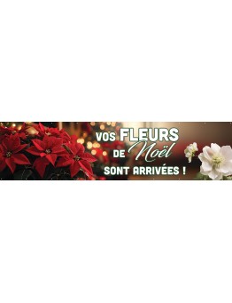 Banderole 184 - fleurs de noël