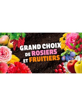 Banderole 190 - rosiers et fruitiers