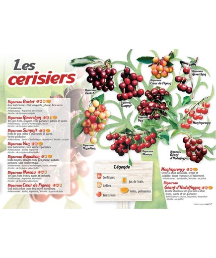 PANNEAU CERISIERS