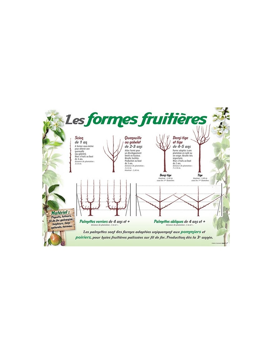 PANNEAU FORMES FRUITIÈRES