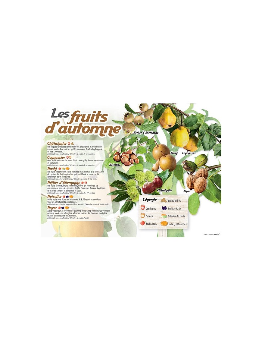PANNEAU FRUITS D'AUTOMNE