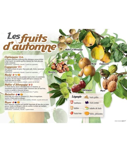 PANNEAU FRUITS D'AUTOMNE