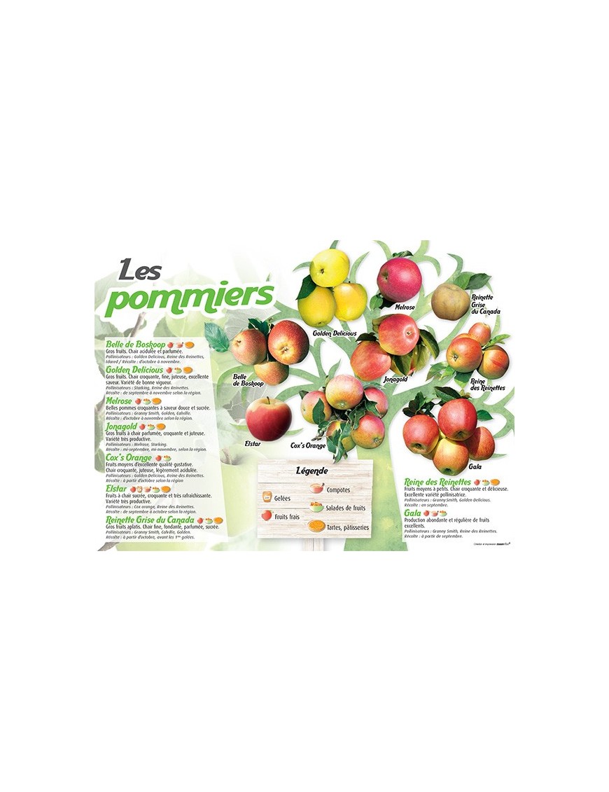 PANNEAU POMMIERS