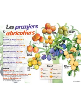 PANNEAU PRUNIERS & ABRICOTIERS