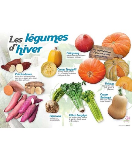 PANNEAU LÉGUMES D'HIVER