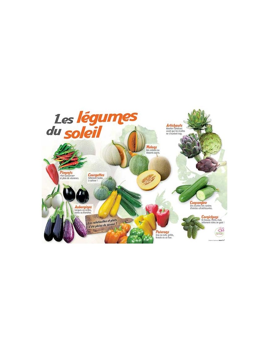 PANNEAU LÉGUMES DU SOLEIL