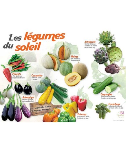 PANNEAU LÉGUMES DU SOLEIL