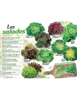 PANNEAU SALADES