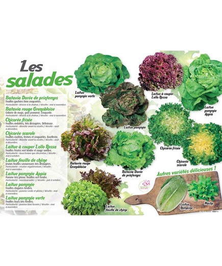 PANNEAU SALADES