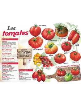 PANNEAU TOMATES