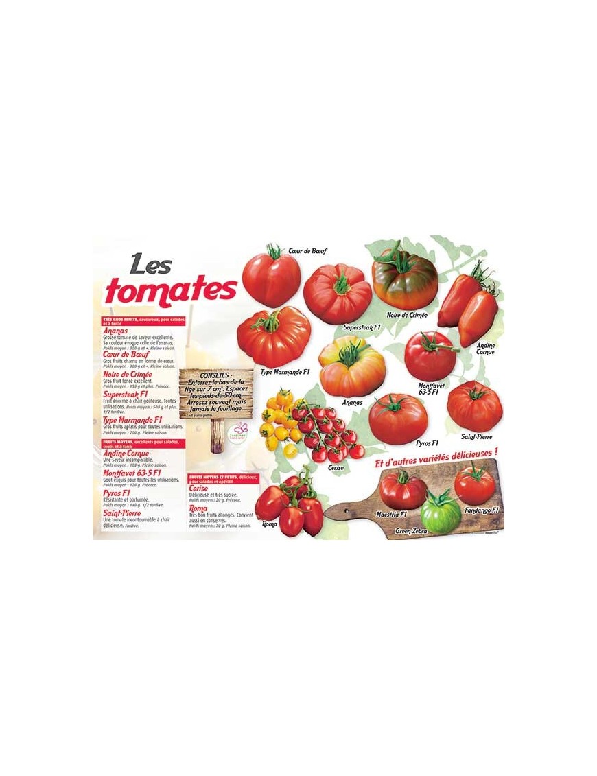 PANNEAU TOMATES