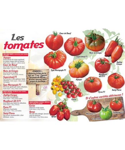 PANNEAU TOMATES