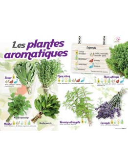 PANNEAU AROMATIQUES