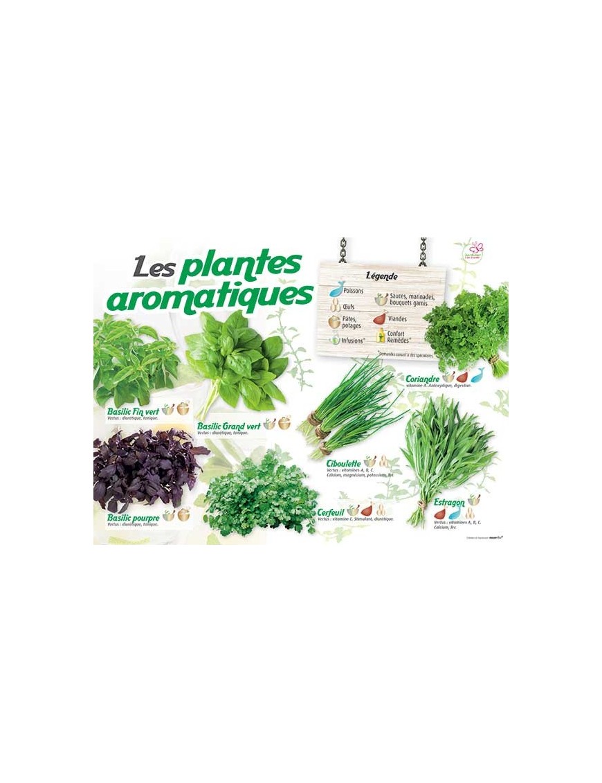 PANNEAU AROMATIQUES